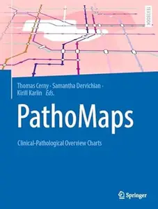 PathoMaps: Clinical-Pathological Overview Charts
