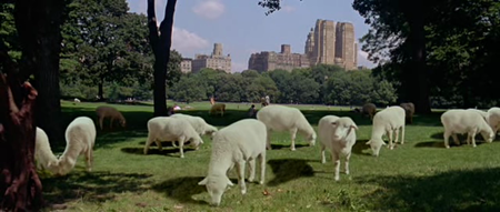 Little Manhattan (2005)