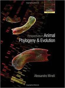 Perspectives in Animal Phylogeny and Evolution