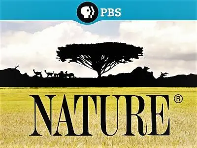 PBS - Nature: Series 38 (2019)
