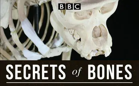 BBC - Secrets of Bones (2014)