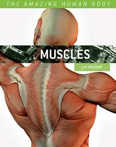 Muscles (The Amazing Human Body)