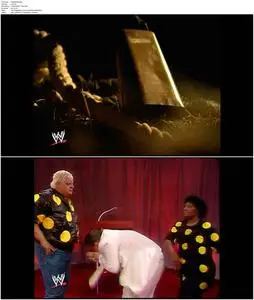 The American Dream: The Dusty Rhodes Story (2006)