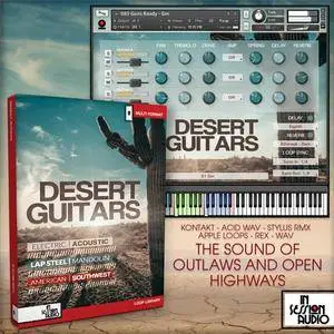 In Session Audio Desert Guitars MULTiFORMAT