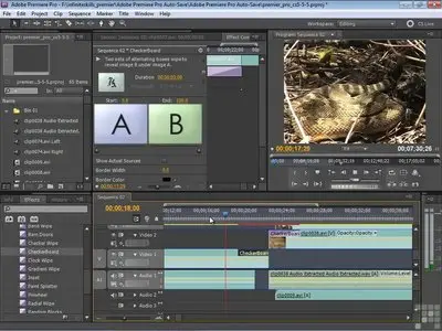 Learning Adobe Premiere CS5 Video Training
