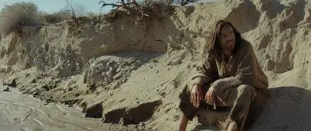 Last Days in the Desert (2015)