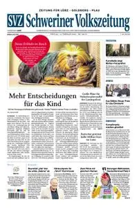 Schweriner Volkszeitung Zeitung für Lübz-Goldberg-Plau - 14. Februar 2020