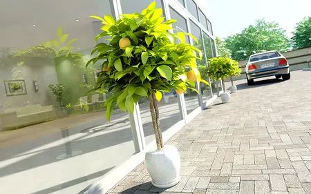 Realistic plants (ArchModels 2007) vol. 41