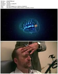 The Brain That Changes Itself (2008)