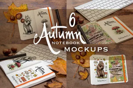 CreativeMarket - 6 Autumn Notebook Mockups