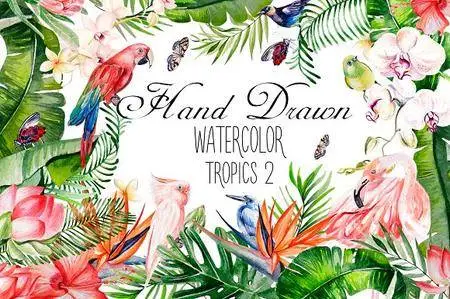 CreativeMarket - Hand Drawn watercolor TROPICS 2