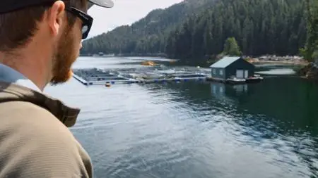 Whale Wisdom (2019)