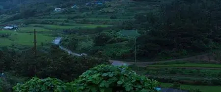 The Wailing (2016) [Goksung]