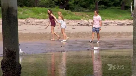 Home and Away S31E153