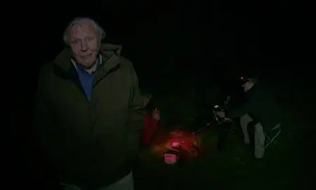 Terra Mater - David Attenborough's Light on Earth (2016)