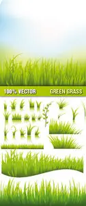Stock Vector - Green Grass