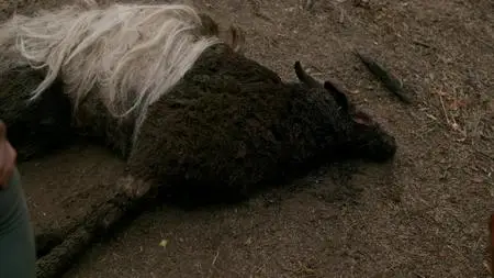 The Wilds S01E10