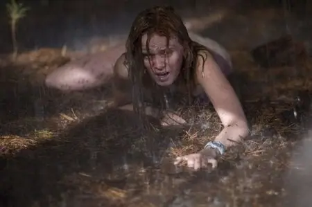 The Last House On The Left (2009)