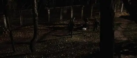 Plemya / The Tribe (2014)