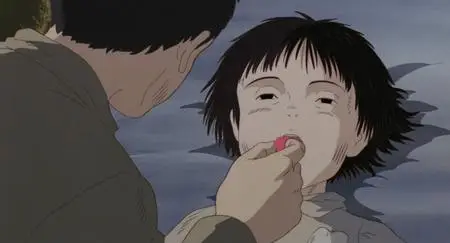 Grave of the Fireflies / Hotaru no haka (1988)