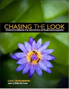 Chasing the Look by David duChemin