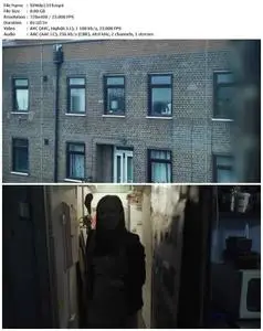 Cat in the Wall (2019)