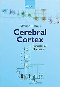 Cerebral Cortex: Principles of Operation (Repost)