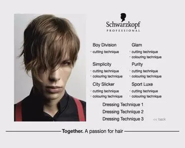 Schwarzkopf - Essential Looks Glamour Collection