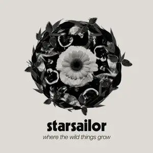 Starsailor - Where The Wild Things Grow (2024) [Official Digital Download]