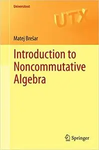 Introduction to Noncommutative Algebra (Repost)