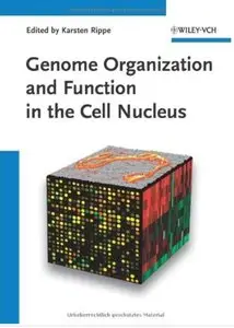 Genome Organization And Function In The Cell Nucleus