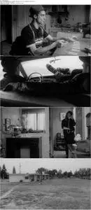 Stranger Than Paradise (1984)