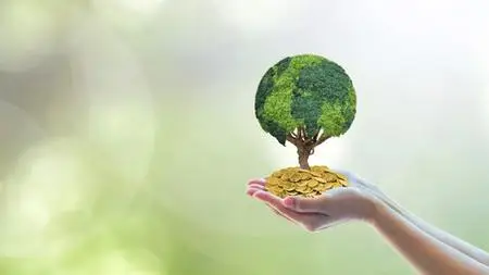 Esg & Sustainability: A Path To Responsible Investing (2023)