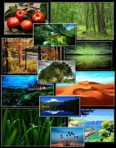 The Best Selection Of Wallpapers With A View Of Nature
