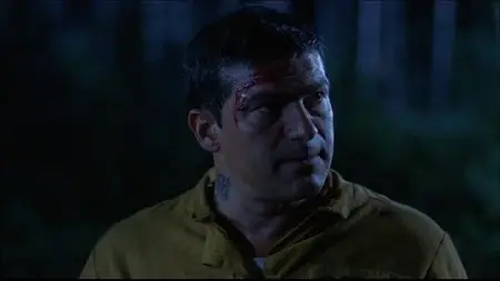 Wrong Turn 3: Left for Dead (2009)