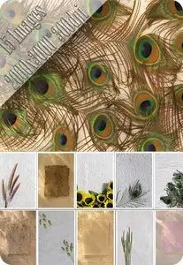 Backgrounds Abstract
