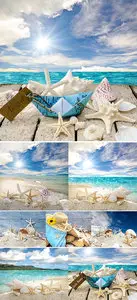 Stock Photo: Maritime Background with seashells and starfish