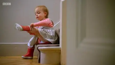 BBC - Babies: Their Wonderful World (2018)