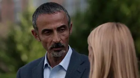 Homeland S03E06