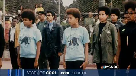 MSNBC - Story Of Cool (2018)
