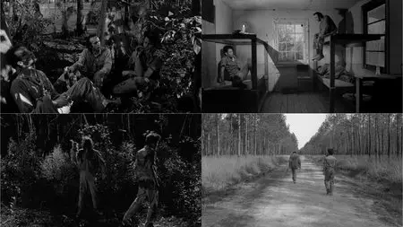 Down by Law (1986)