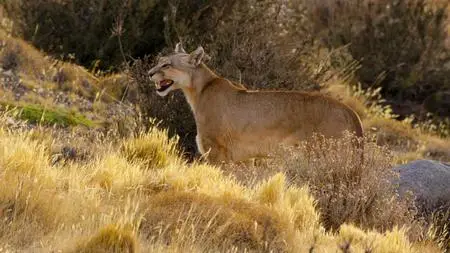 Our Great National Parks S01E02