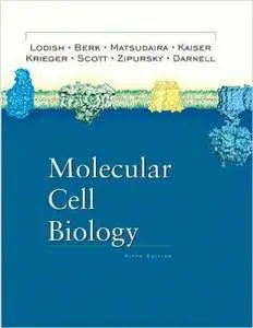 Arnold Berk - Molecular Cell Biology (5th Edition) [Repost]