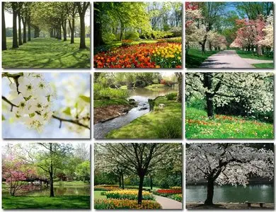 spring 