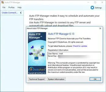 Auto FTP Manager 6.13