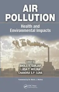 Air Pollution: Health and Environmental Impacts [Repost]