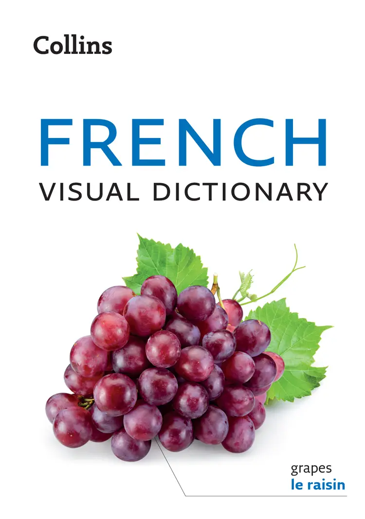 collins-french-visual-dictionary-avaxhome