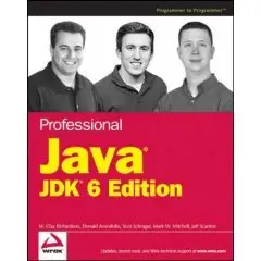 Professional Java JDK 6 Edition (REPOST)