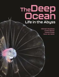 The Deep Ocean: Life in the Abyss