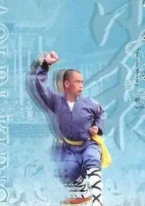 Shaolin Traditional Kungfu Series: Yanqing Boxing Shaolin Kung Fu (Repost)